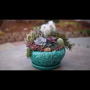 Meet your Posher, Little Moon Rock